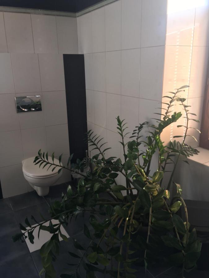 Penzion A Pivnice Varna Velká Bystřice Exteriör bild