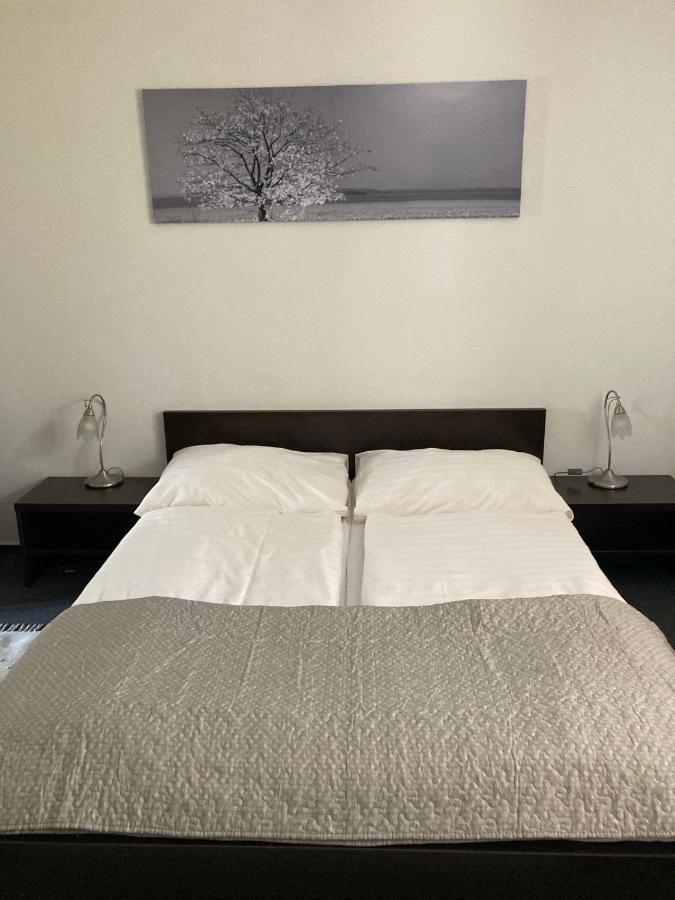 Penzion A Pivnice Varna Velká Bystřice Exteriör bild